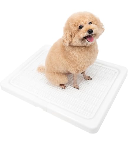 ワンだふる清潔トイレ さらさらカバー　10枚入り×8パック×3箱 ワンだふる清潔トイレ さらさらカバー 10枚入り×8パック×3箱 ワンだ